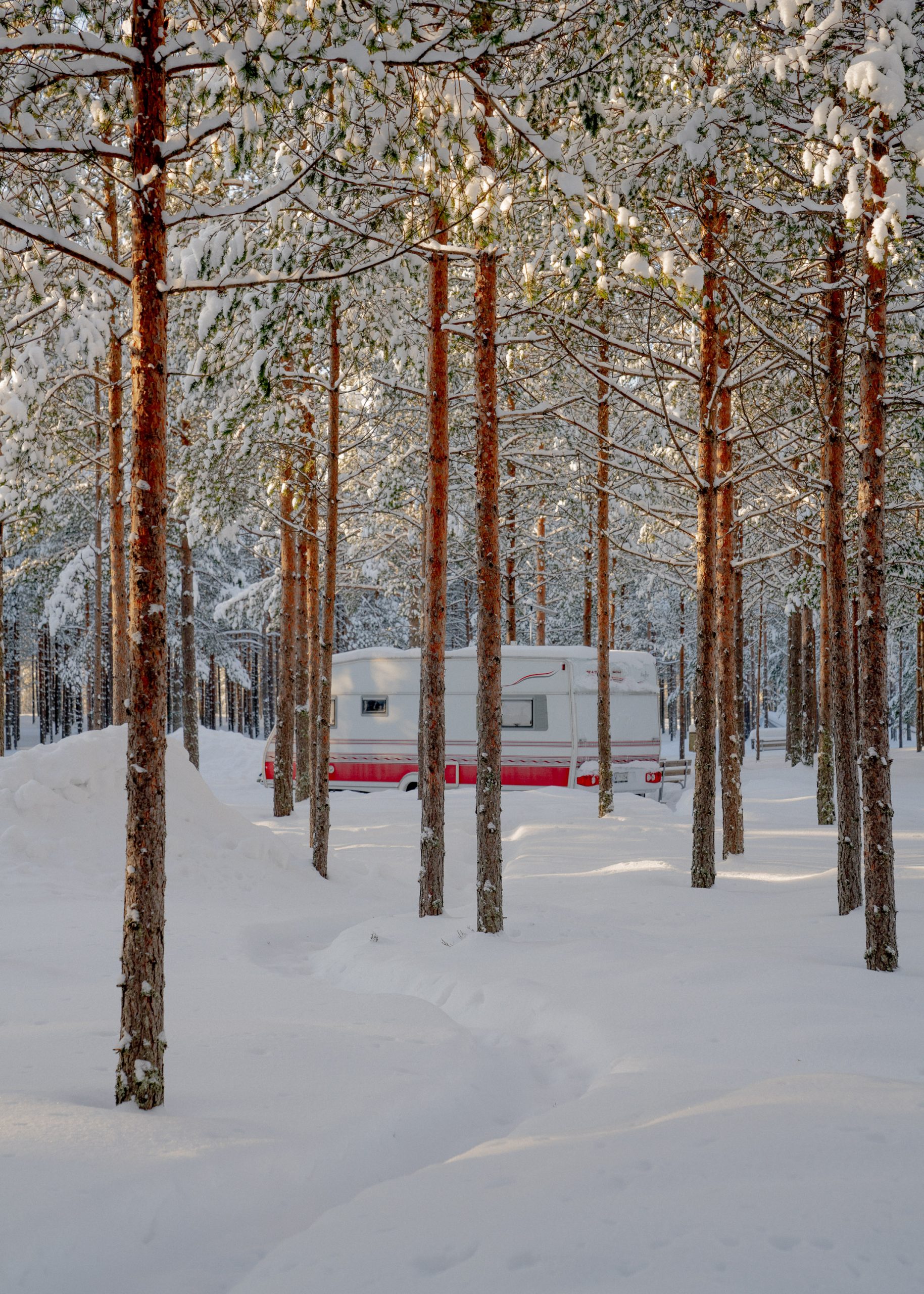 Caravan in the woods in winter.